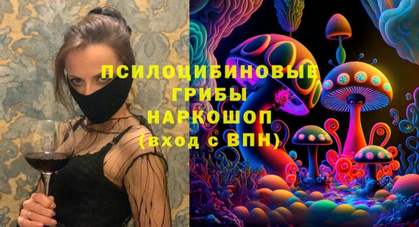 МДПВ Мегион