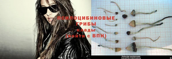 прущая мука Медвежьегорск